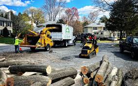 Best Lawn Maintenance Plans  in Bard College, NY